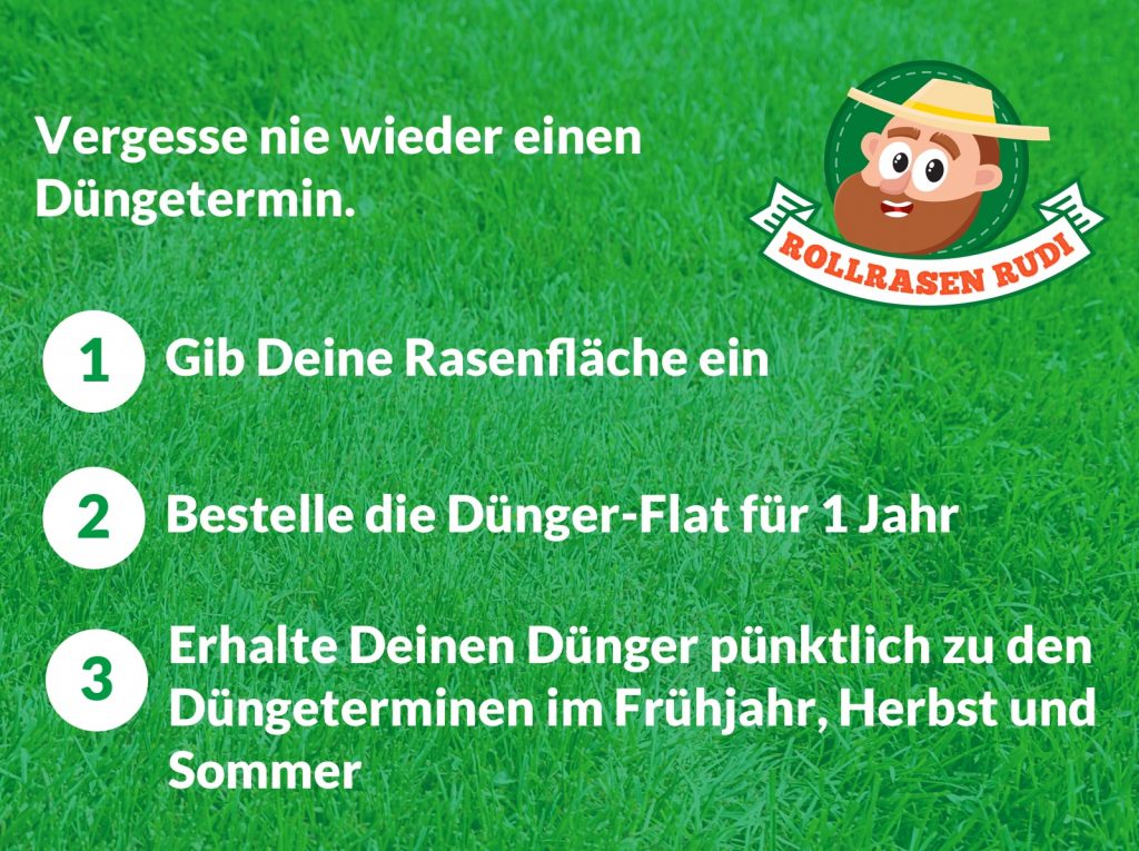 Rollrasen Rudi