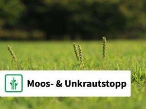 Rollrasen Rudi Unkrautstopp